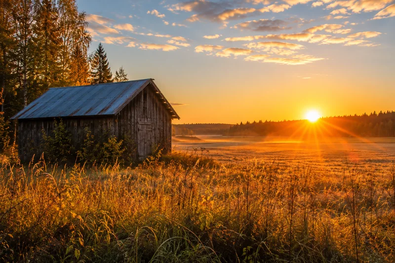 AI-generated Autumn Barn Field
